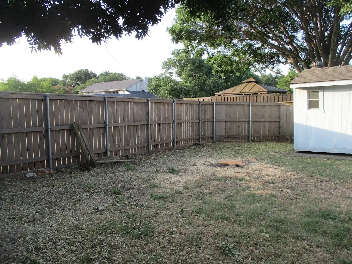 Cleared yard after professional tree removal in Columbia